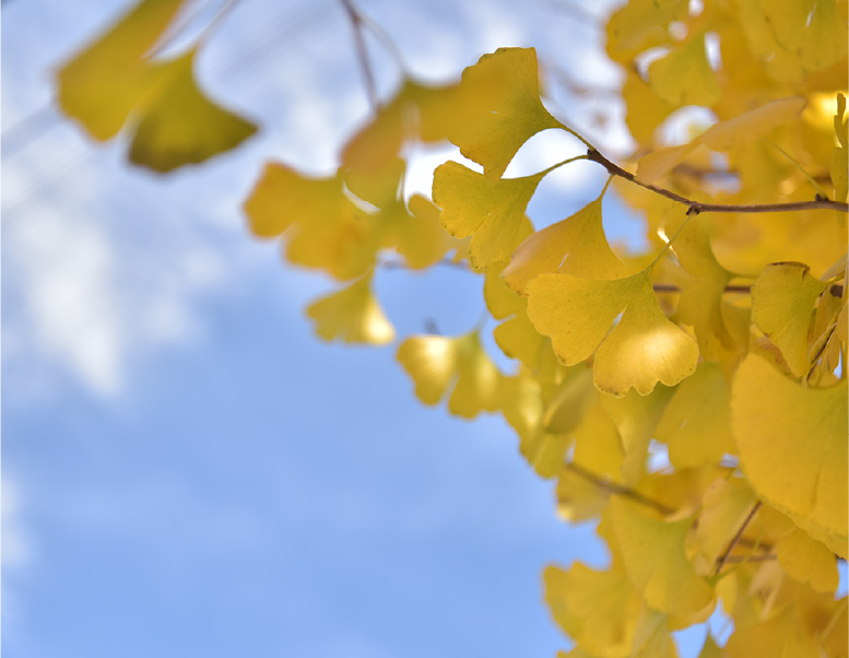 西間木病院について
